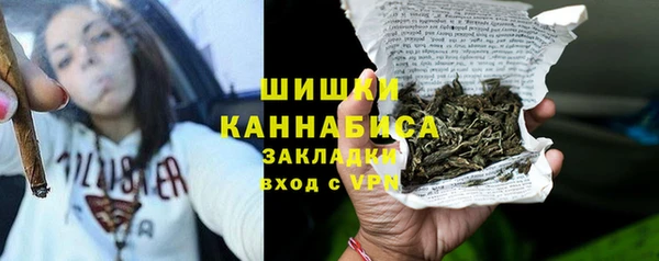 прущие грибы Белокуриха