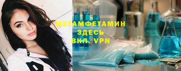 прущие грибы Белокуриха