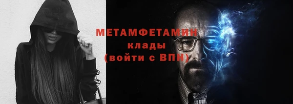 прущие грибы Белокуриха
