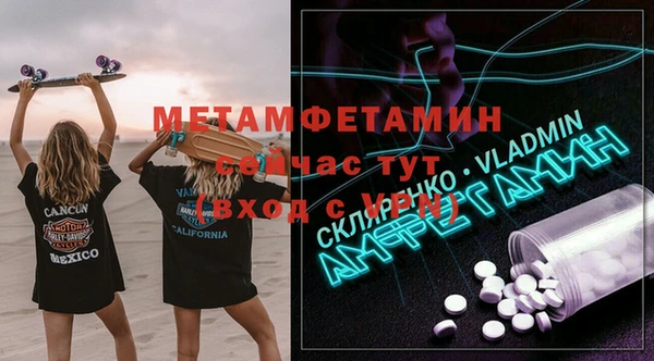 прущие грибы Белокуриха
