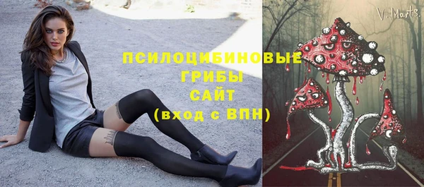 мескалин Богородицк