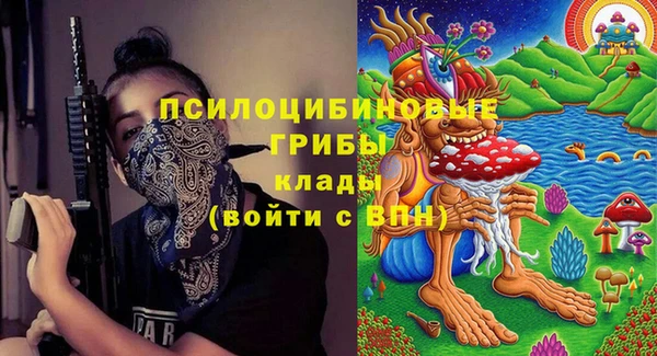 2c-b Сосновка