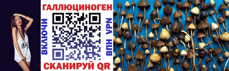 Галлюциногенные грибы Cubensis  Кирс 